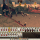 Illustration for article titled I Wish All Games Had Glitches Like emTotal War: Rome II/em
